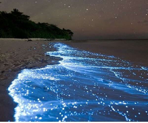 bonaire