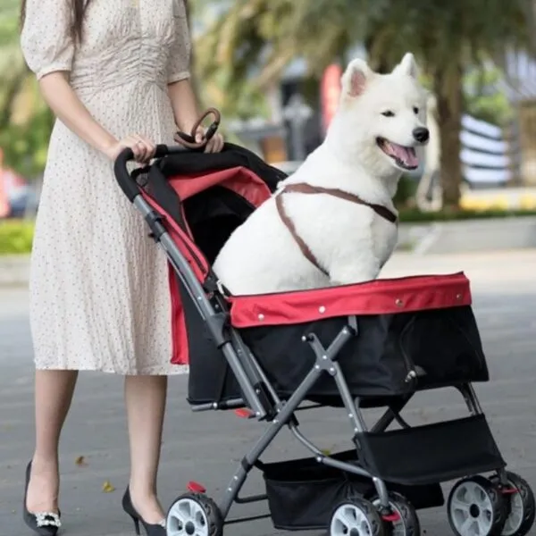 beste hondenbuggy